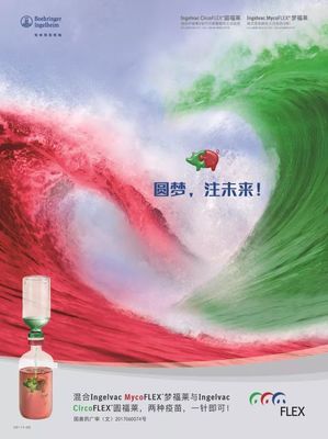 【猪兜谈猪价-2.22】屠企、小刀的收猪策略变化多端 猪价难逃下行命运?!